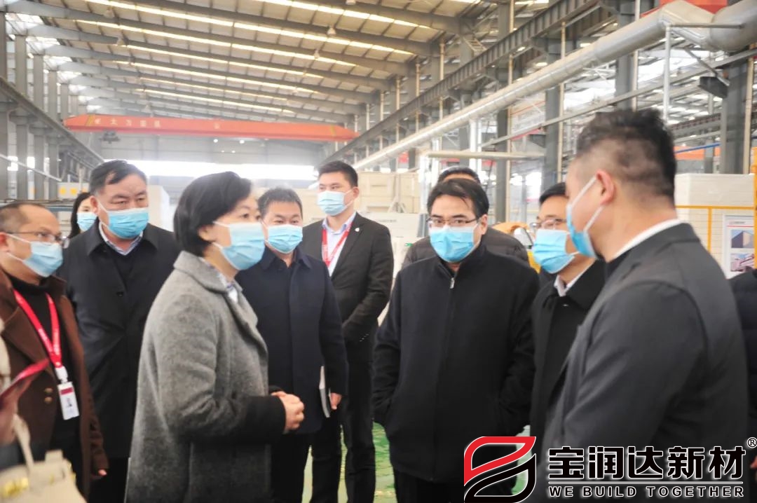 长葛市长张晓丽一行来访宝润达