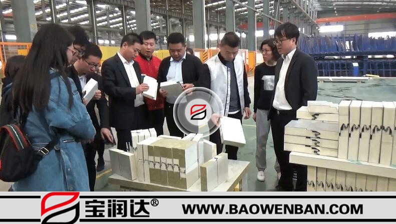 国立集团董事长一行来访宝润达参观交流