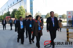 市人大常委会领导莅临宝润达视察工业转型工作