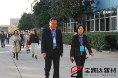 市人大常委会领导莅临宝润达新型材料视察工业转型工作