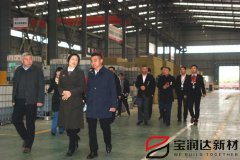 爨丽敏市长一行莅临宝润达视察