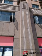 新乡豫飞金色城邦大厦多彩漆外墙一体板项目