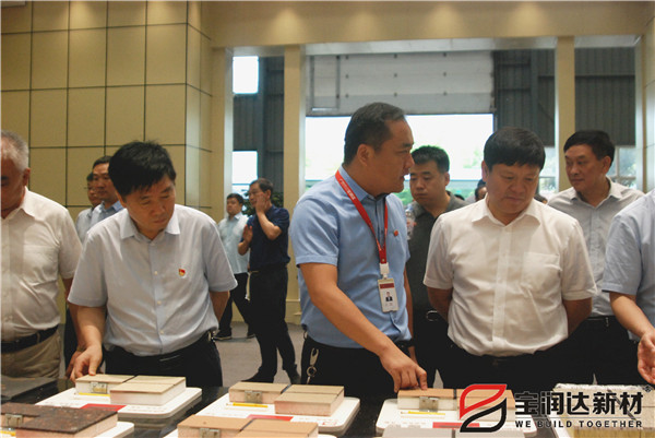 宝丰县县考察团莅临宝润达参观考察