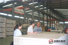 美国Rocky先生来访宝润达洽谈一体板项目