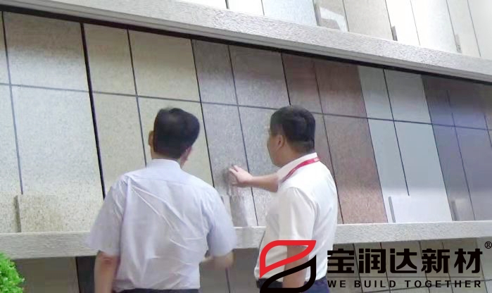 市人大常委会党组书记刘明亮莅临宝润达参观考察