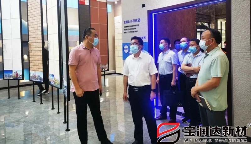 “万人助万企”第一工作组莅临宝润达调研