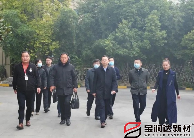 开封党工委书记肖文兴一行莅临宝润达考察